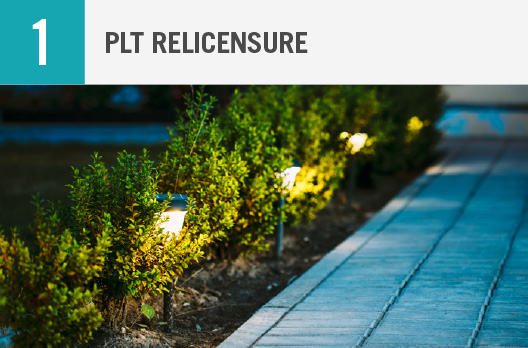 PLT Relicensure path photo